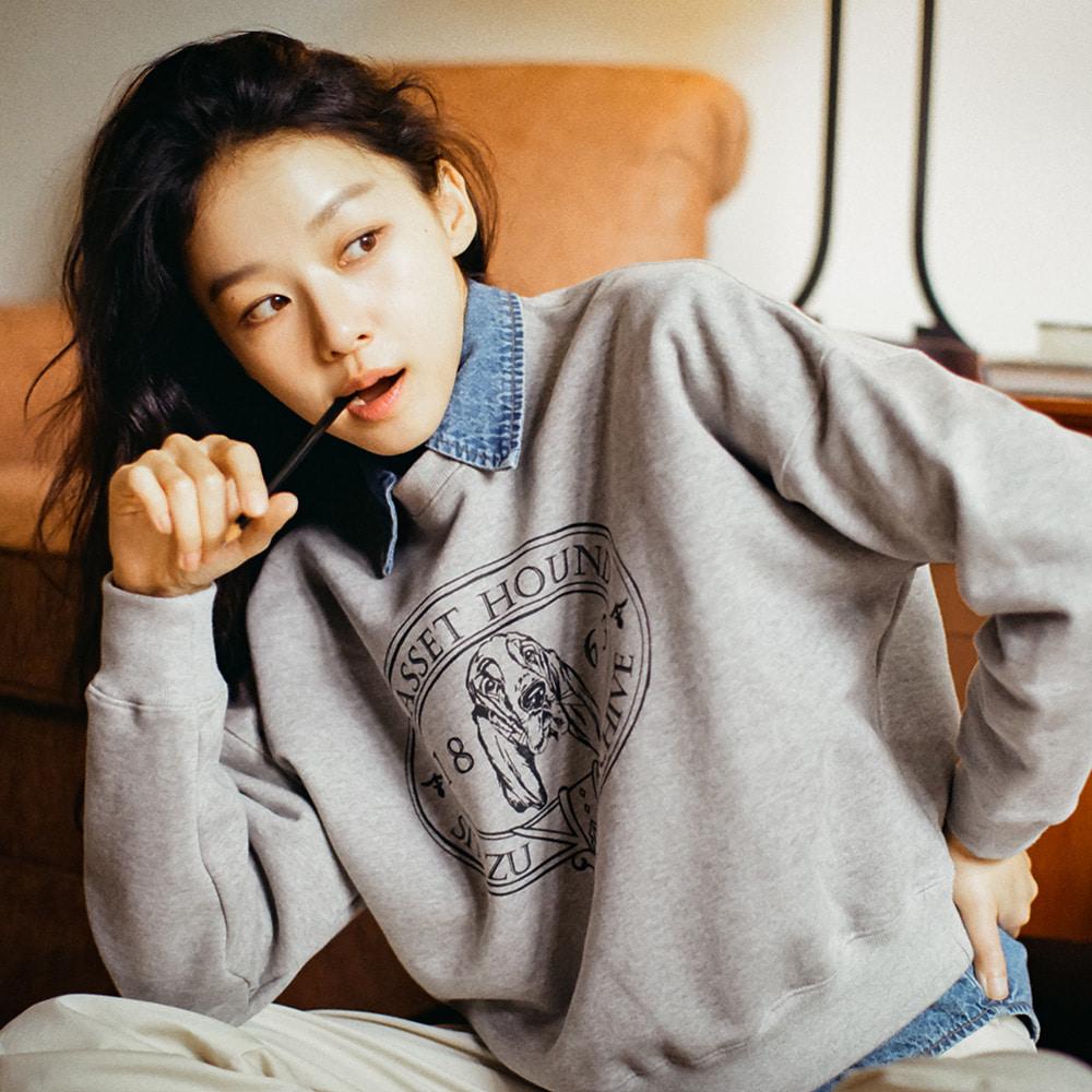 SITP5072 basset hound sweat shirt_Melange gray