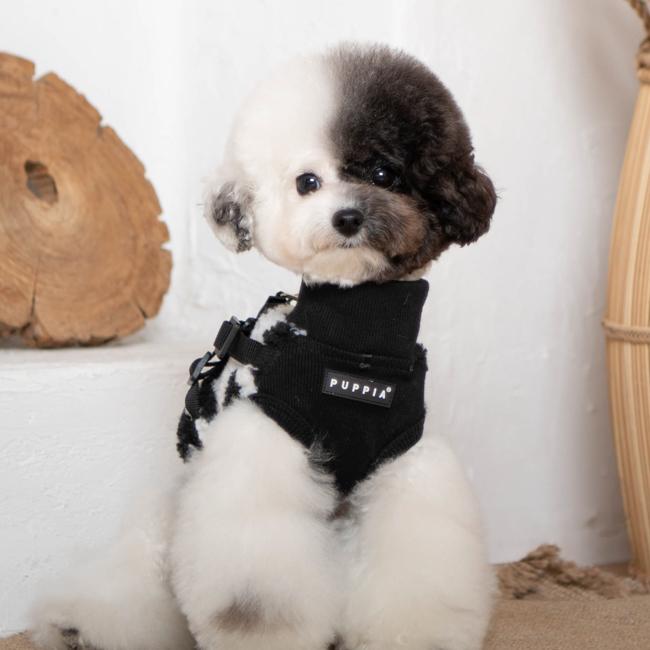 구르미 하네스 J