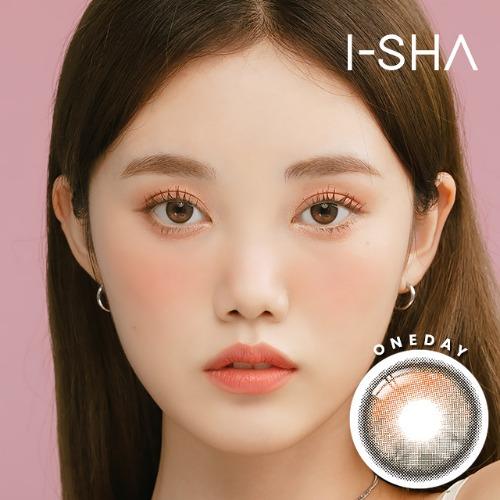 오리아나 원데이 그레이 (1팩 10개입)