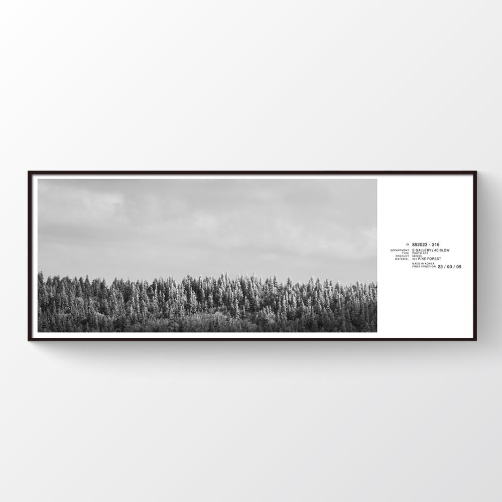 [BIG] 애시드로우 대형액자 PINE FOREST [420x1189mm]