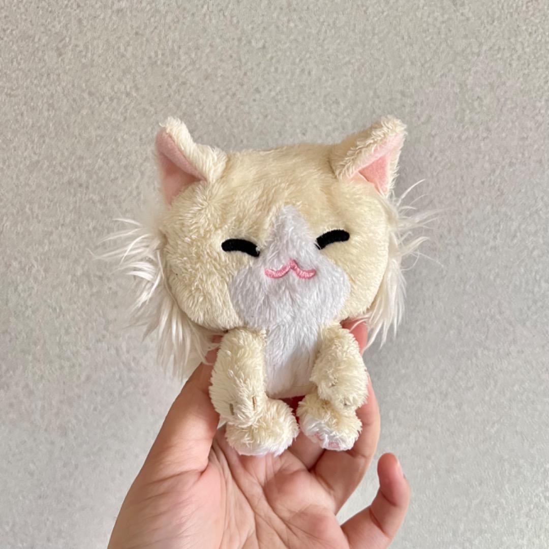 ノルッチ ぬいぐるみ (くつしたニャンコ)
