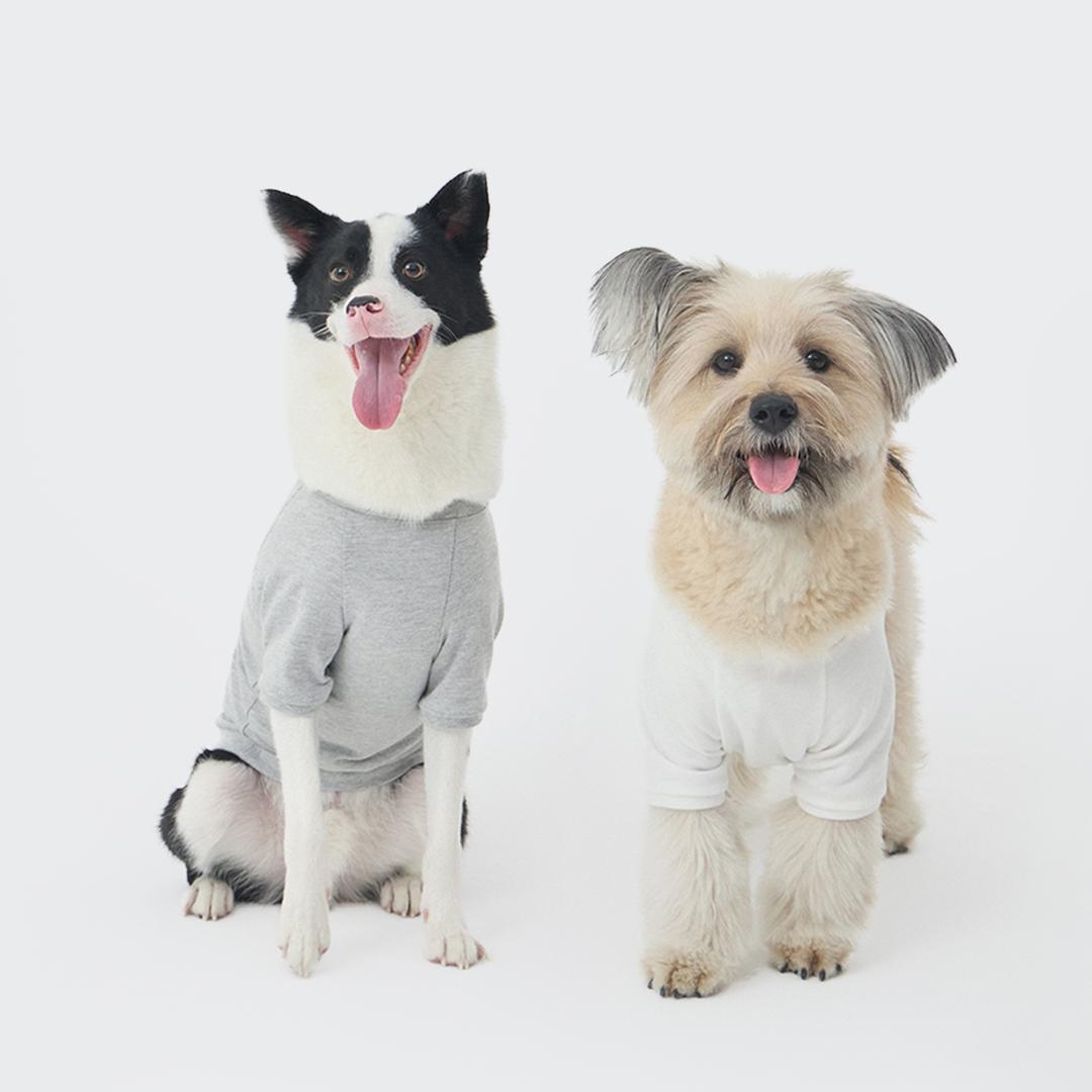 멀리 3팩 강아지 베이직 티셔츠 [3pcs]