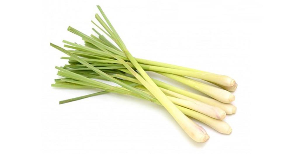 태국 다카이 다까이 생 레몬그라스 똠양꿍 100G, 300G 아시안푸드