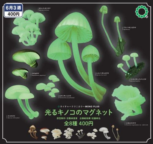 NTC 야광버섯자석 가챠캡슐 8종세트