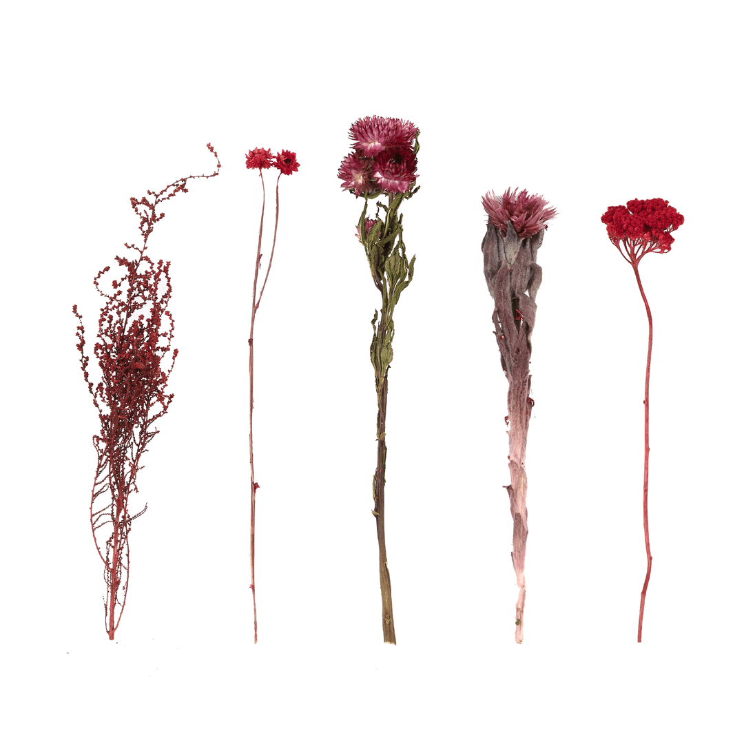 Large Red/Pink EW.Pharmacy for Curves 'Dry Flower Bouquet'