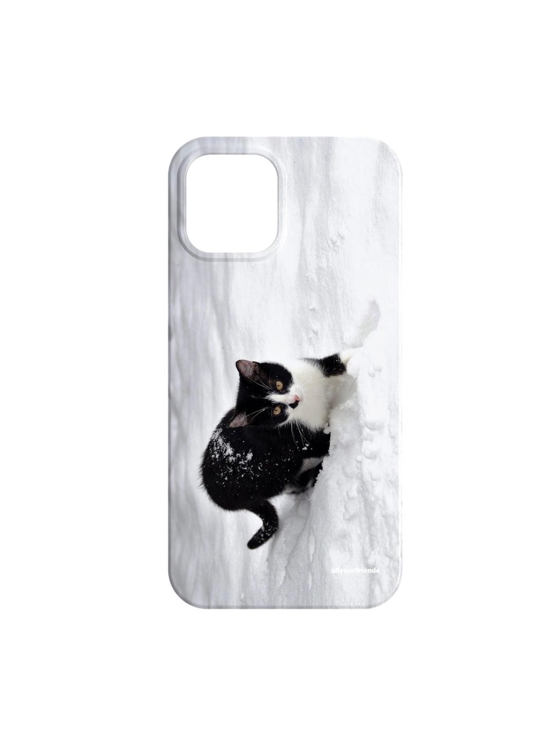 Snow cat case