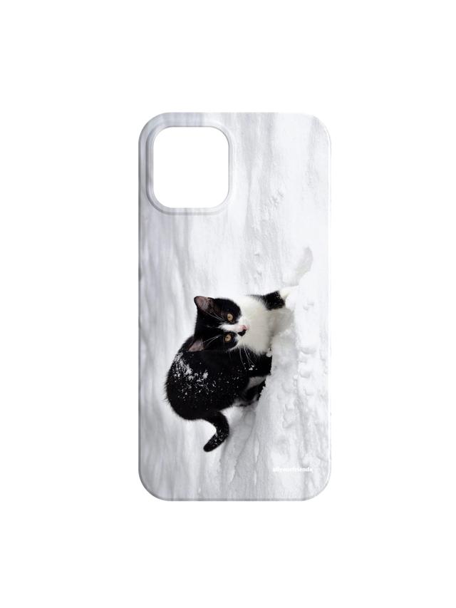 Snow cat case