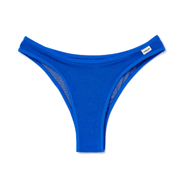 Mesh Cheeky Panty(Cobalt Blue)