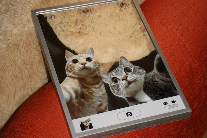 [단독] selfie cat poster mirrorㅣ포스터 거울