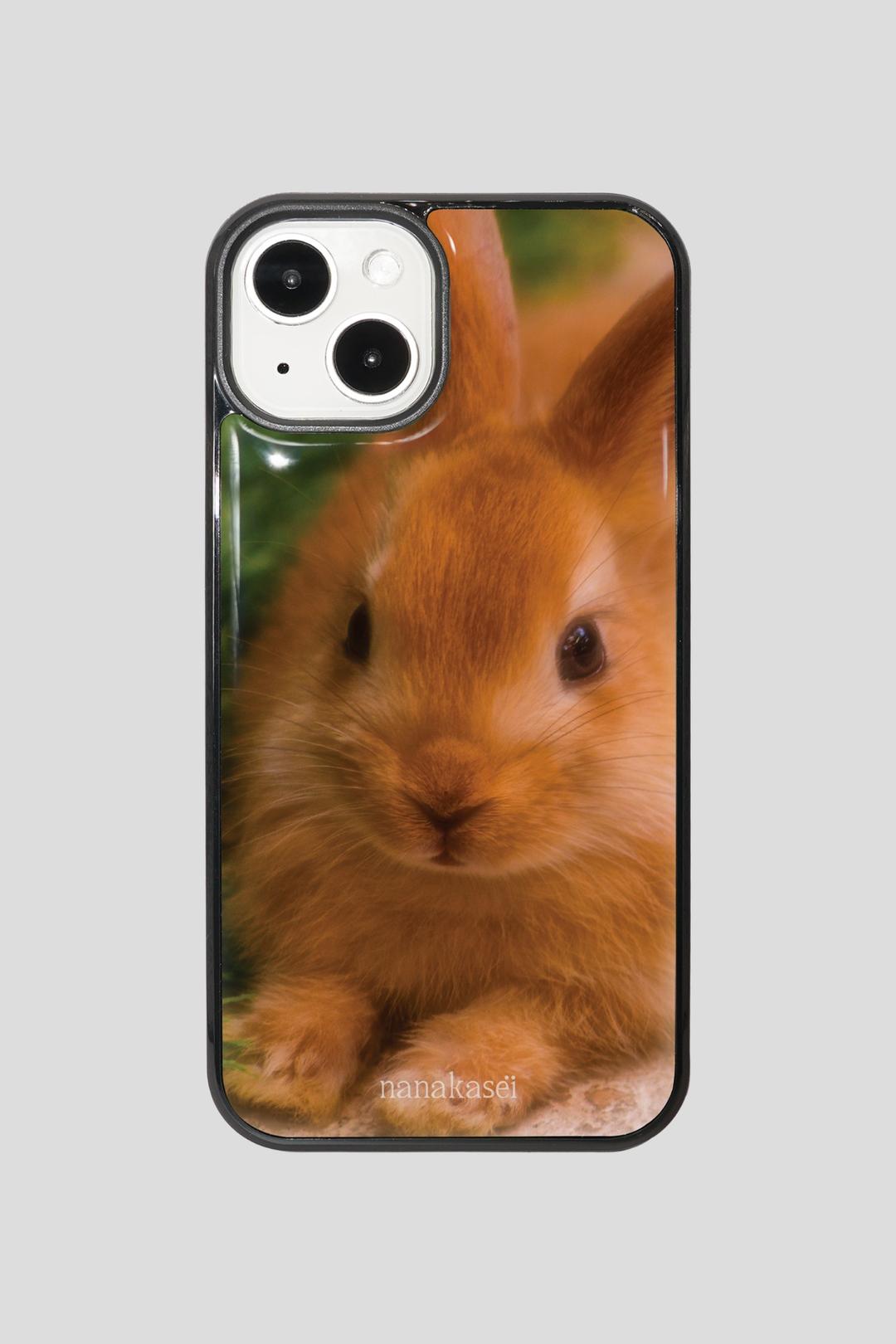 brown rabbit case