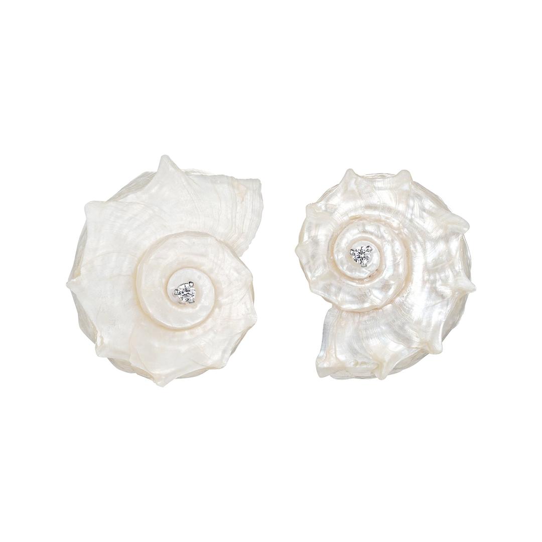 Shell / Natural Shell Conch Earring - Pair