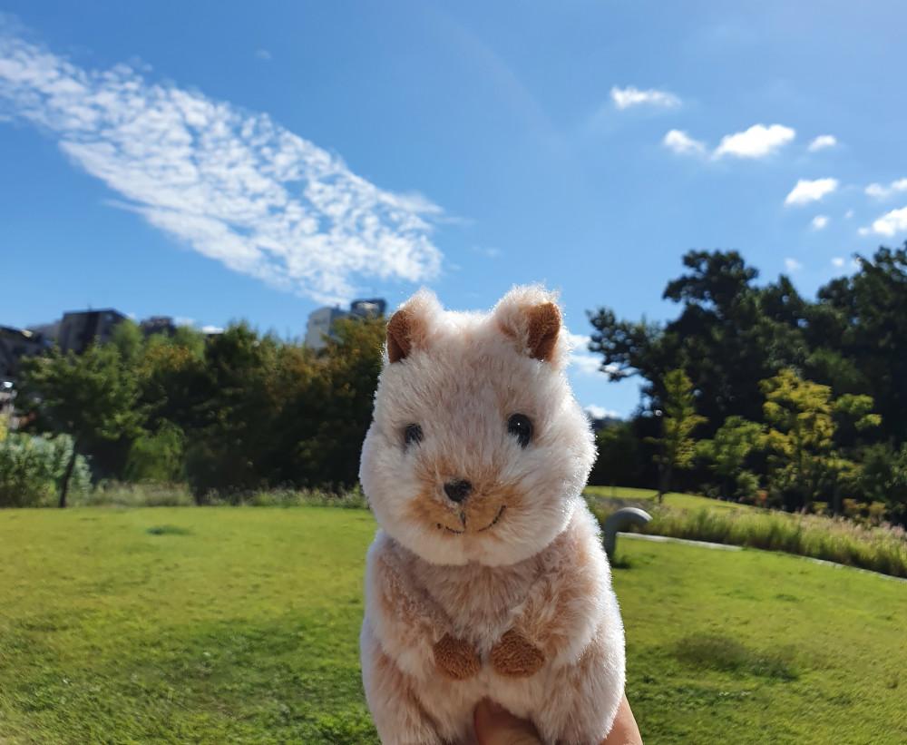 행복한 아기 동물 애착 인형 선물 선레몬 플러피 애니멀 쿼카 고슴도치 수달