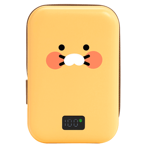 카카오프렌즈 케이블형 맥세이프 보조배터리 20000mAh C타입 / USB A타입, 춘식이