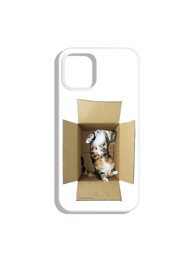 Box cat case