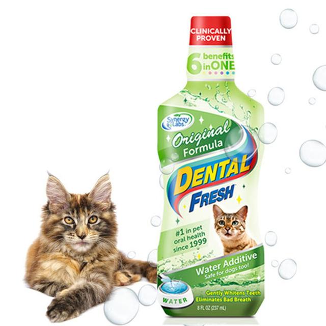 고양이 양치 입냄새 이빨관리 먹는치약 물에타먹는 치약 덴탈 후레쉬 오리지널 236ml
