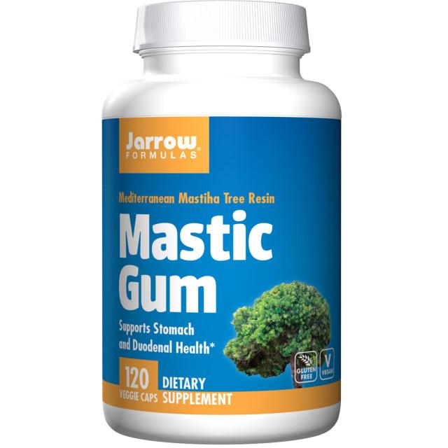 자로우 포뮬러스 매스틱 검 120정 MASTIC GUM