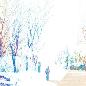 파란노을 Parannoul / After The Magic ("Blossom\" Colored Vinyl, 2LP, Limited Edition) *예약상품 (4월 중순 배송 예정)
