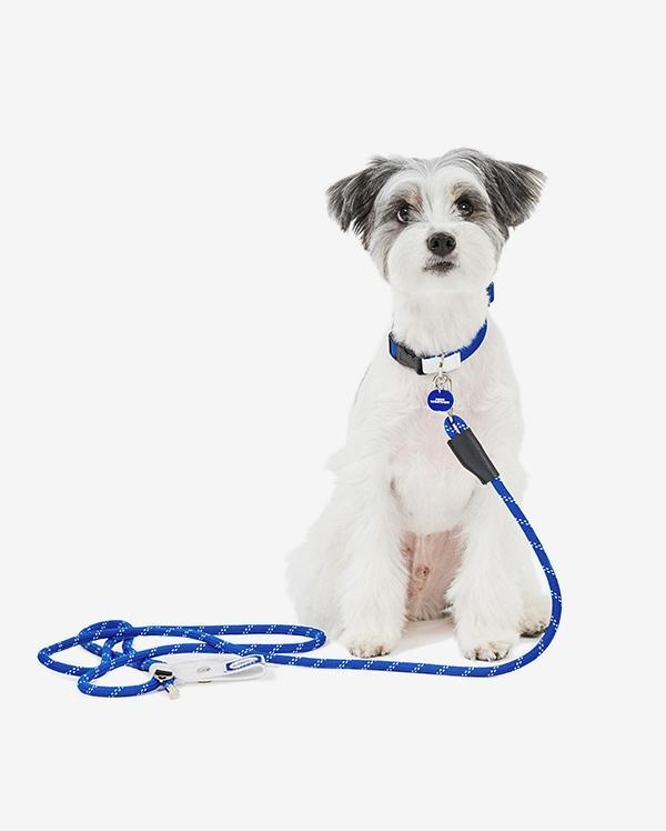 [비엔비엔×나이스웨더] 목줄 & 로프 리쉬 SET