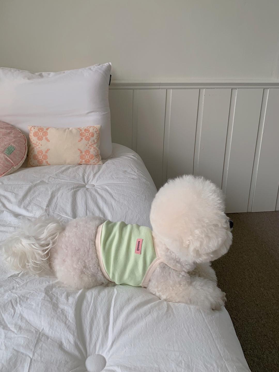 [4차] house crop top (mint)