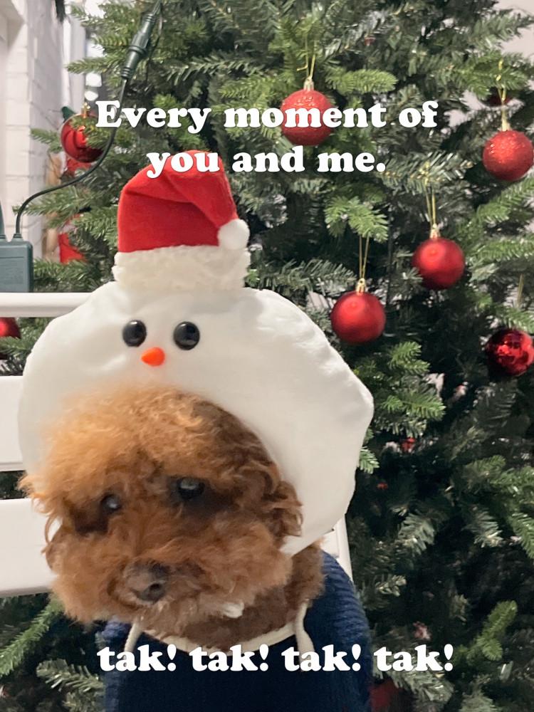 [made 제품] 강아지 크리스마스 눈사람 모자 탁탁탁탁 스노우맨 겨울