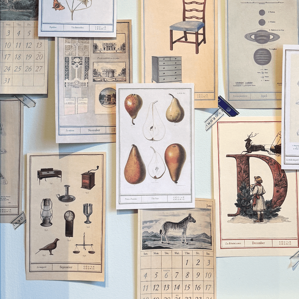 VINTAGE MOOD 아트워크 엽서 세트 (12장)