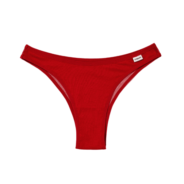 Mesh Cheeky Panty (Red)