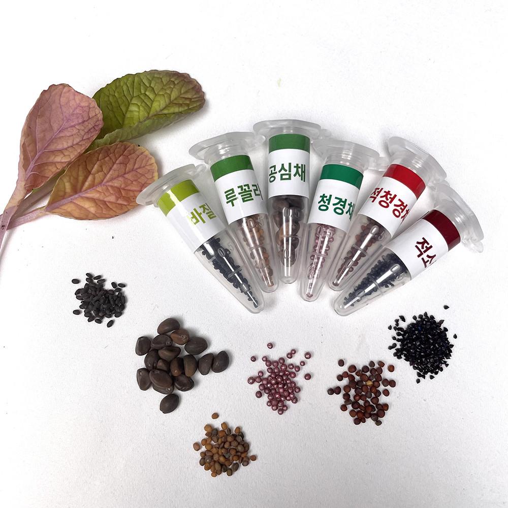 [재배의 정석] 파쯔파쯔 이색채소 6종 씨앗모둠 바질 루꼴라 공심채 청경채 키우기