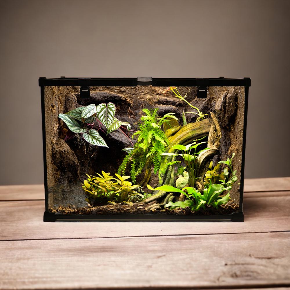 노모이펫 적재형 테라리움 파충류 사육장 50x30x35