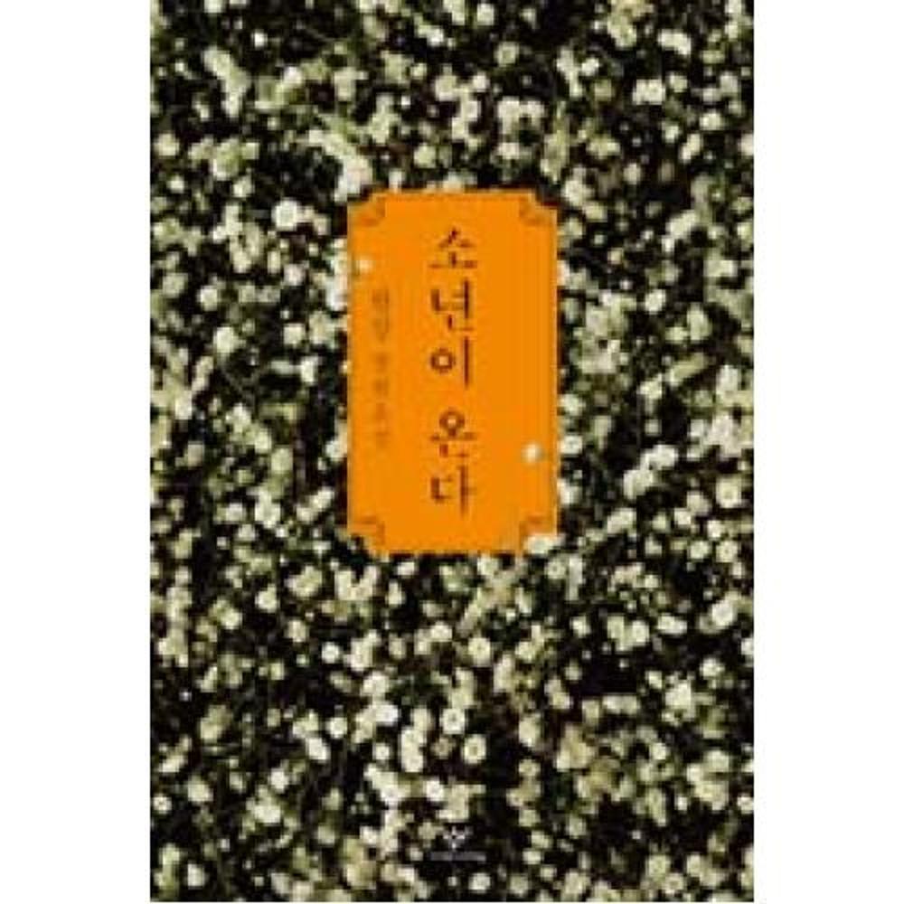 소년이 온다  한강 소설