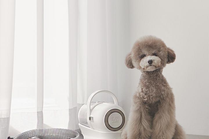 강아지 고양이 미용도구 바리깡 발바닥 미용 펫 클리퍼 이발기 R