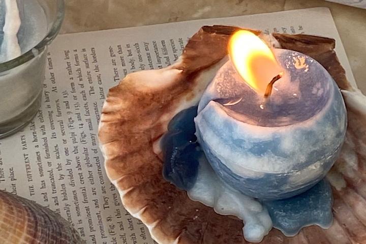 바다캔들 조개트레이세트 / A type (원형캔들+천연조개 세트)