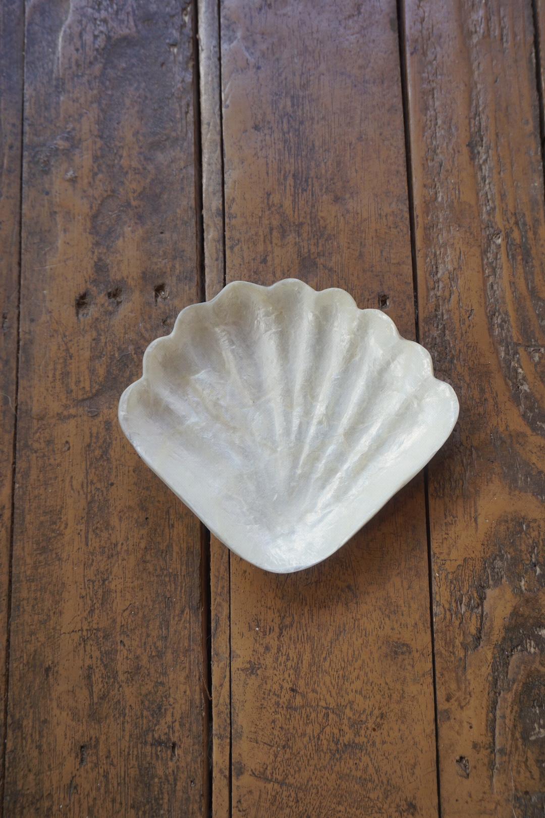 FAN SHELL TRAY