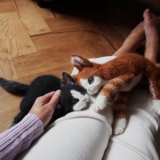 New Kitten pattern by Claire Garland