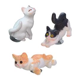 [키비츠] cat kibbitz