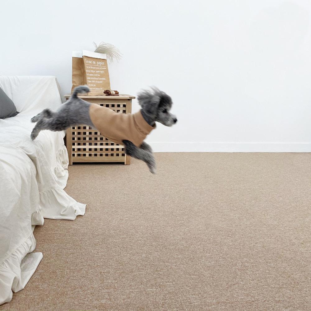 천일 강아지 고양이 미끄럼 방지 매트