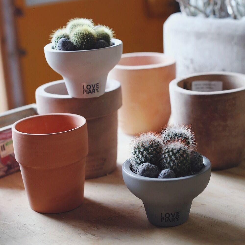 우주선을 타고온 선인장 미니화분