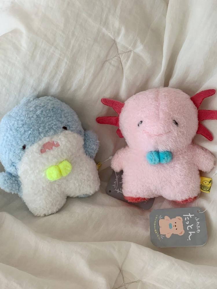 썬레몬 땃똔 우파루파, 상어 인형 [여름한정]