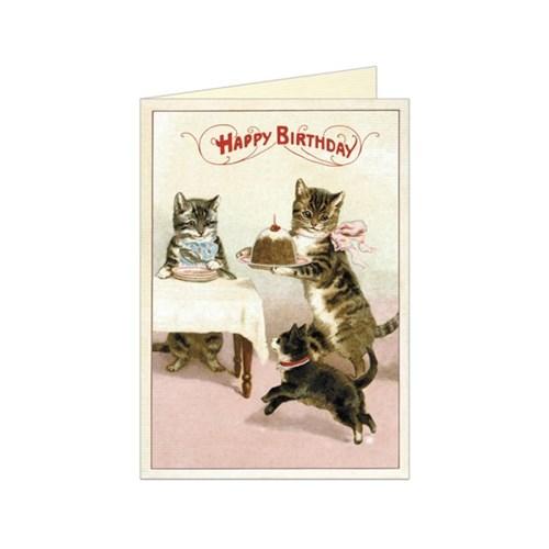 카발리니 그리팅카드 - Happy Bitrhday Cat