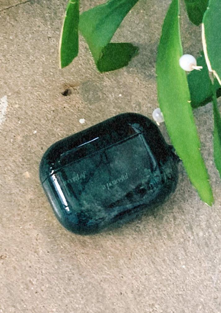 Peaceful forest Airpod case