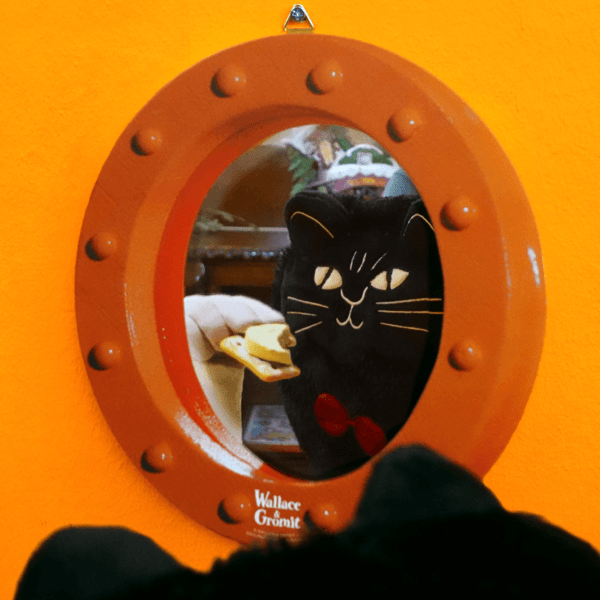 🧀WALLACE & GROMIT MIRROR(Cheese type)🪞✨