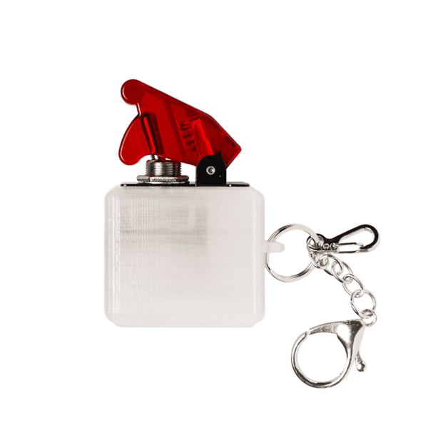 4.0 Keyring (Transparent Box)