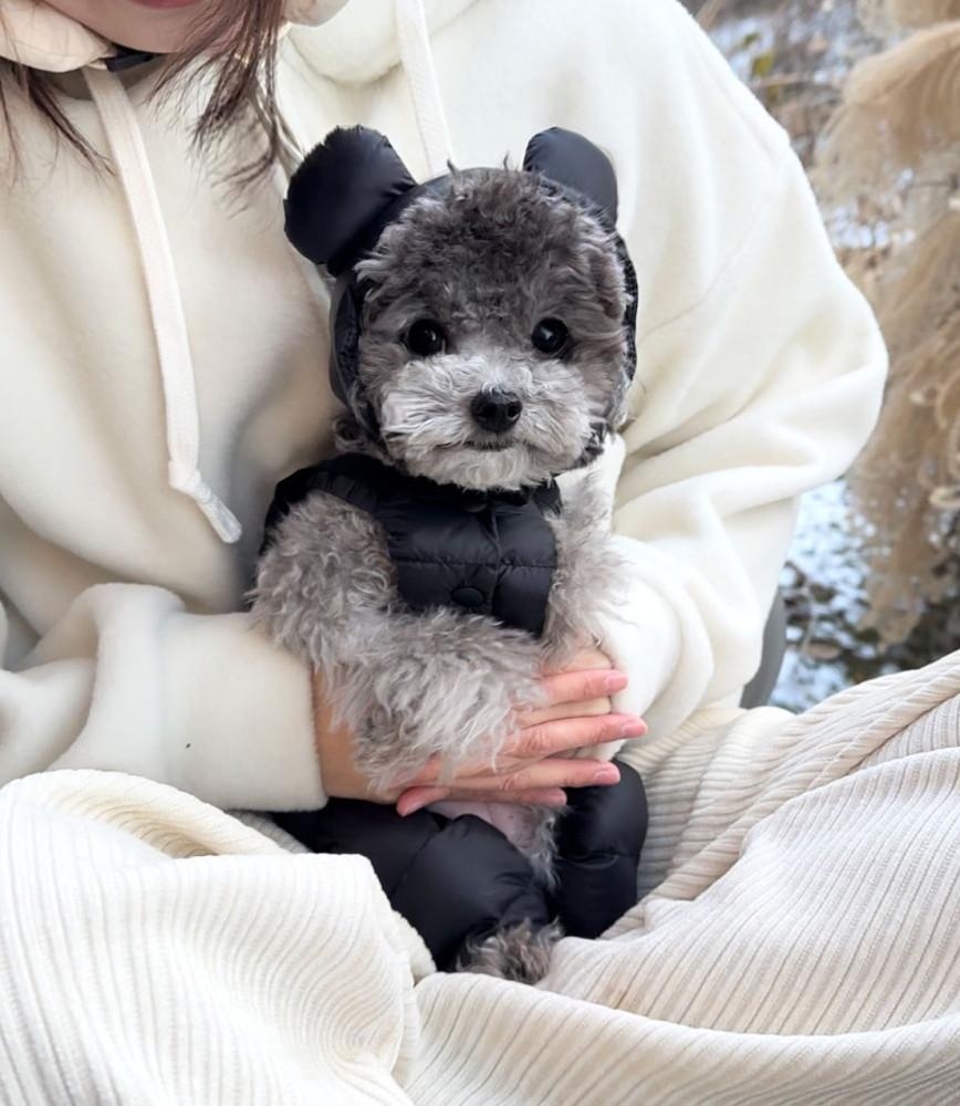 오구오구 강아지옷 멜빵패딩올인원 S