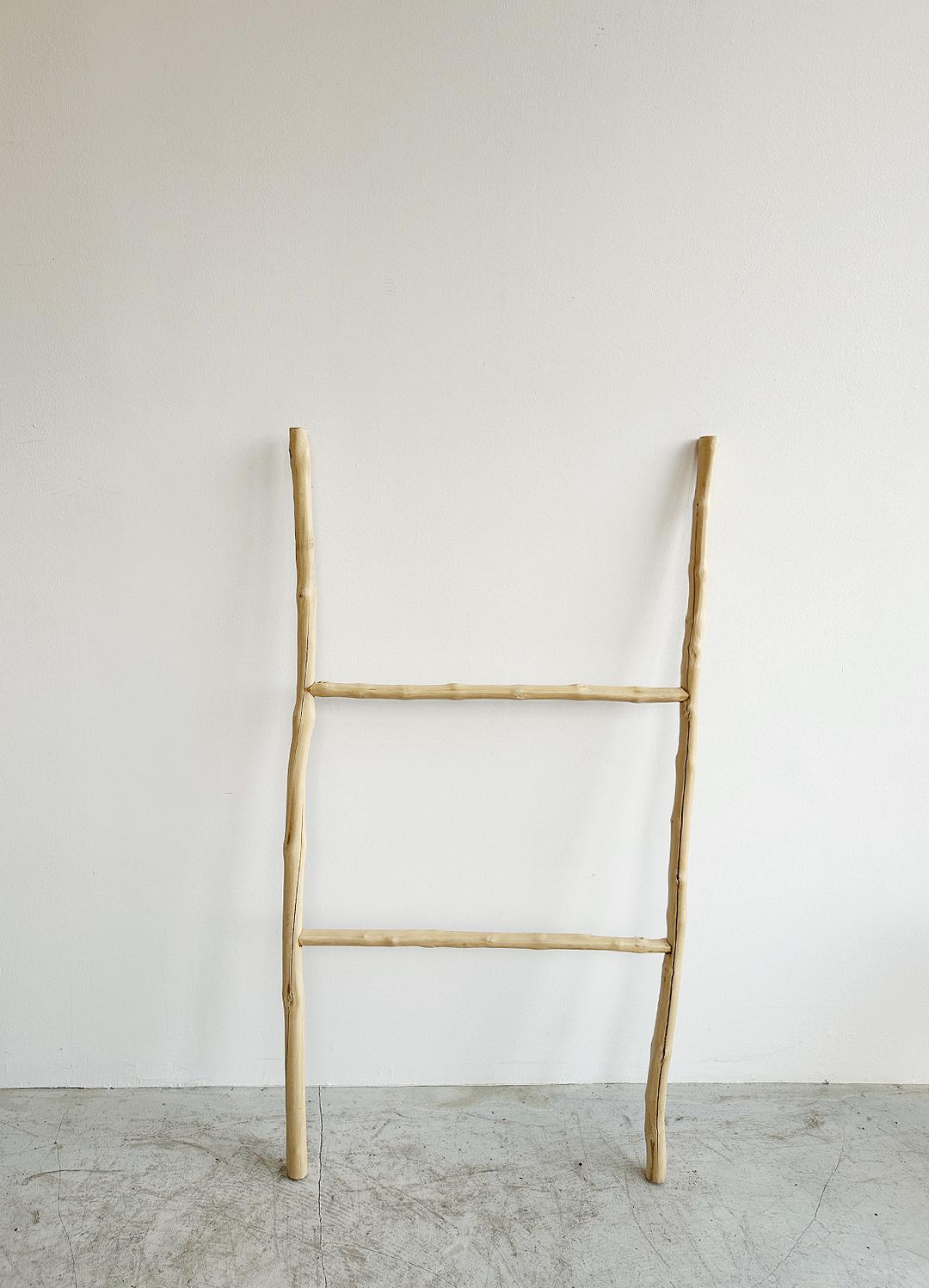 22/DECEMBER/41_핀란드 사다리(H120)