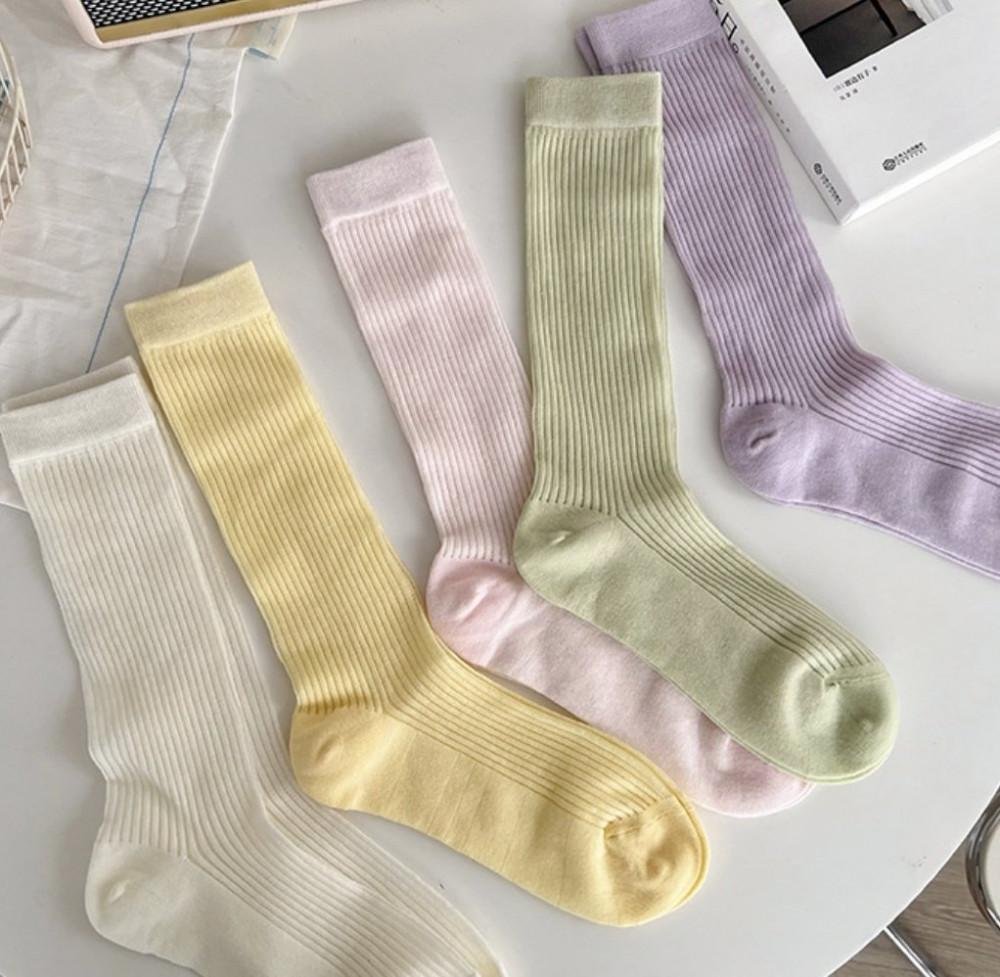 시스루 골지 장목 양말(8color)