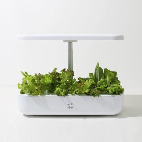 오늘식물 Air 식물재배기 수경재배기