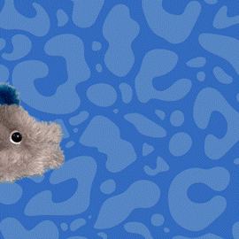 FANTASTIC Coin Purse