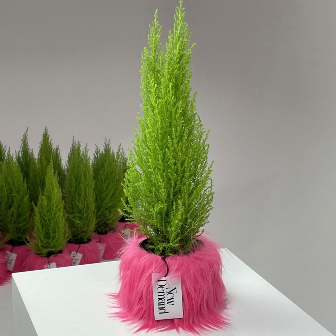Flowerpot Fur (Pink)