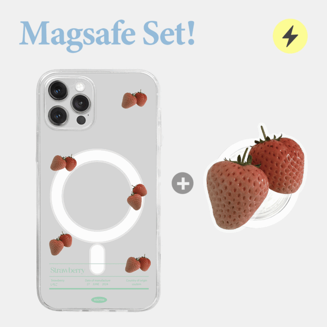 [Magsafe] 프루츠 폰케이스/아크릴톡