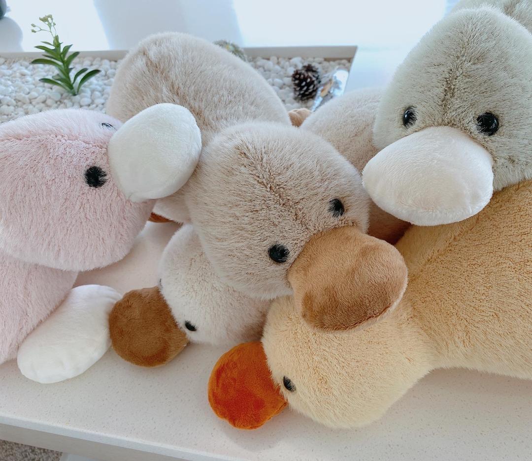 [5color] 40cm Rainbow Duck