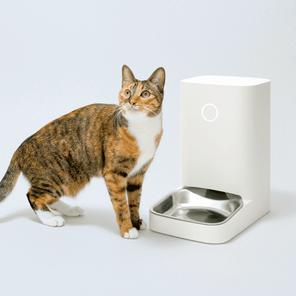 스마트 자동 급식기 밀리